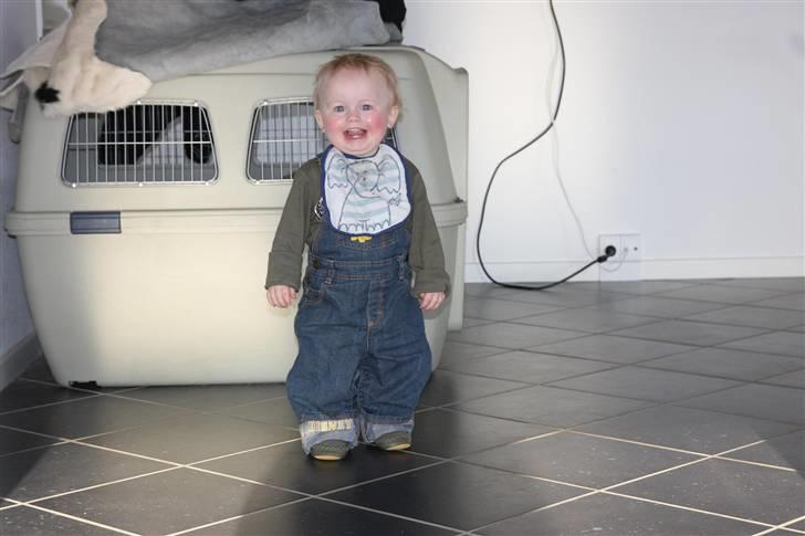 Dreng NOAH - Noah super glad billede 2