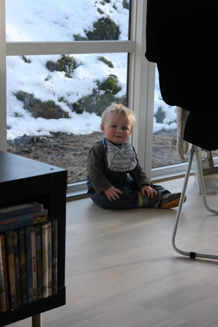 Dreng NOAH - Noah billede 3
