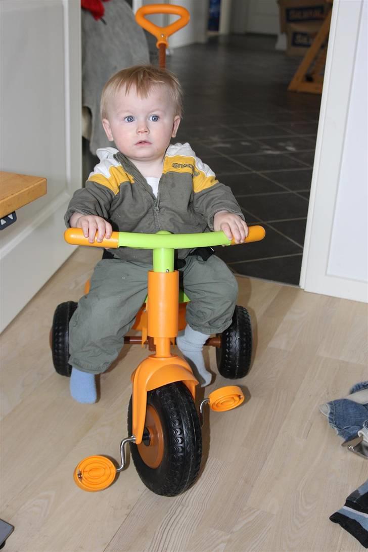 Dreng NOAH - Noah på hans nye cykel billede 10