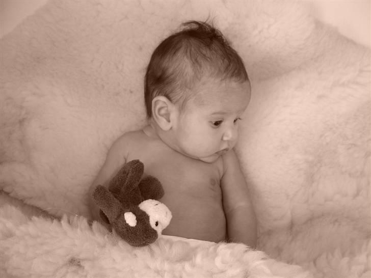 Pige Natashja billede 17