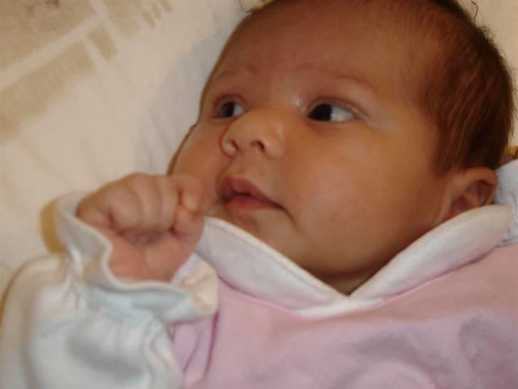 Pige Natashja billede 19