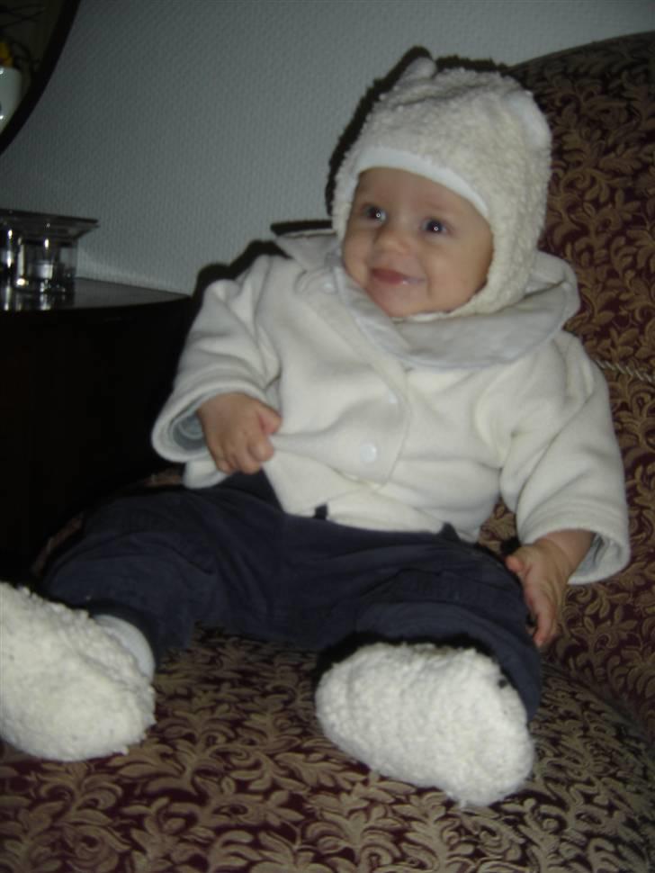 Dreng Noah billede 17