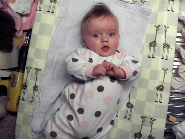 Pige Tiffanie N. M. Torp billede 7