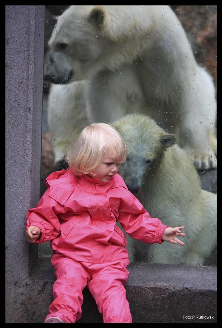 Pige Julie - Julie i zoo  billede 2