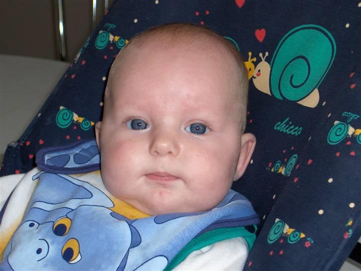 Dreng MIKKEL - vores lille pampers baby..... billede 1