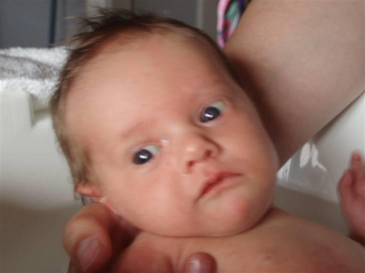 Pige Mathilde Caroline billede 5