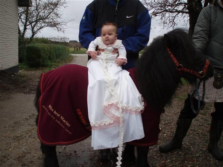 Pige Mathilde Caroline billede 9