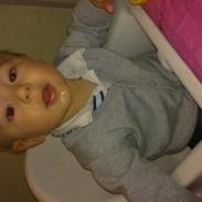 Dreng Sander