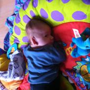 Dreng noah kenney noppenau jensen