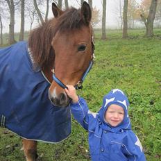 Dreng Marcus Spuhr Nielsen