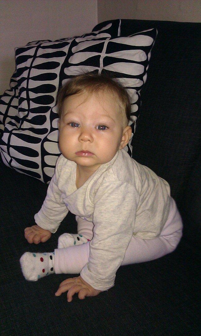 Pige Amalie - sidder selv billede 18