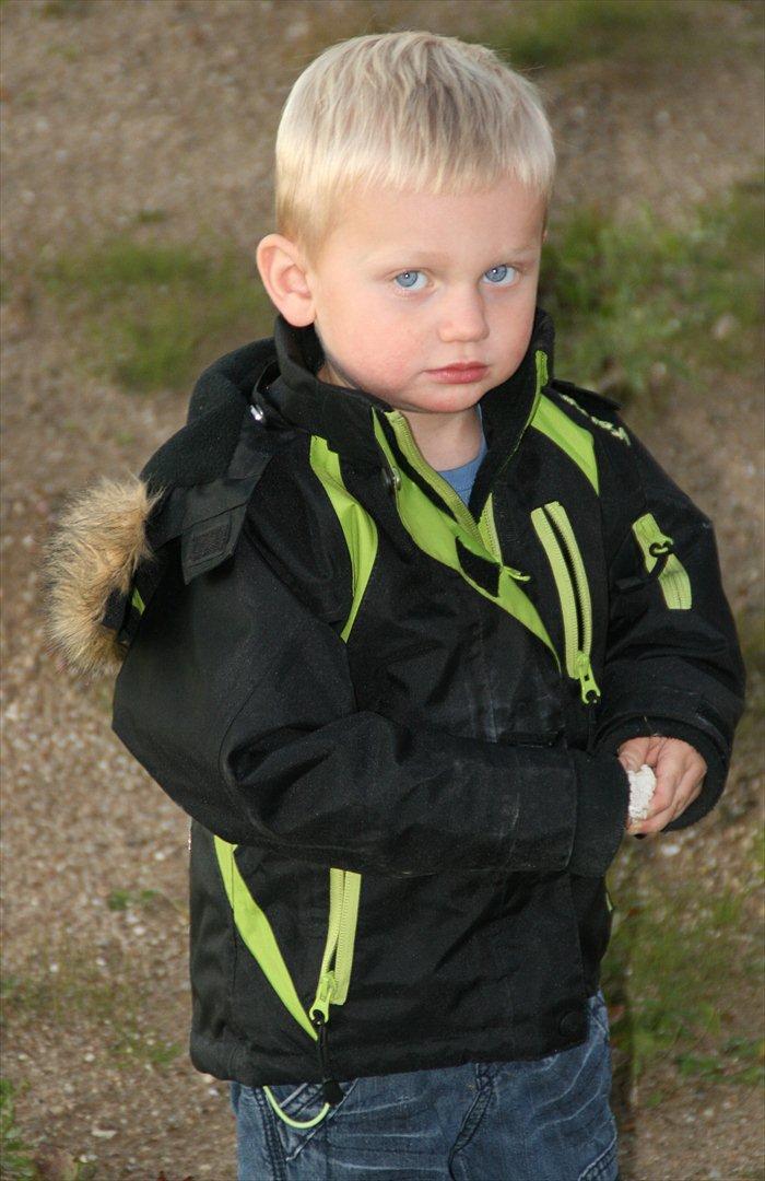 Dreng Oliver - 2 år billede 2