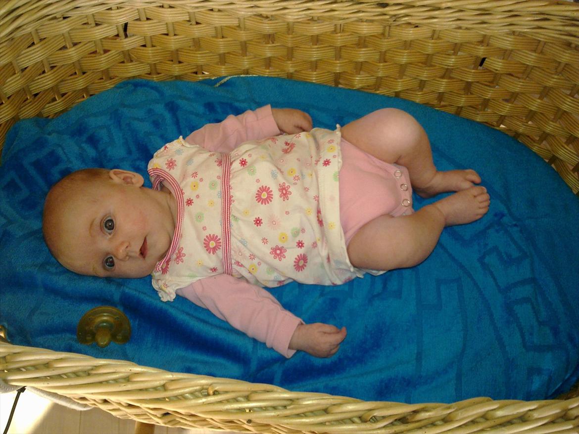 Pige Milla billede 1