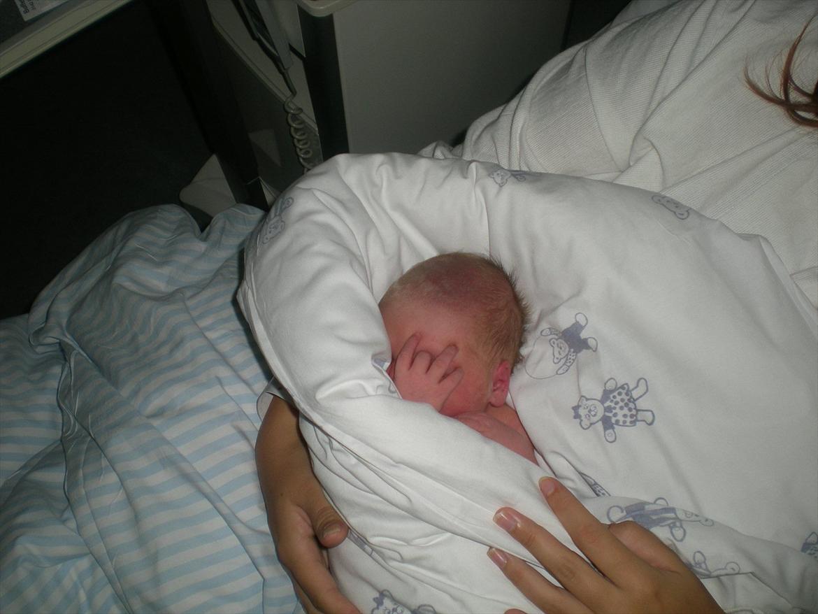 Pige Milla - Ligger og får varmen :-) billede 2