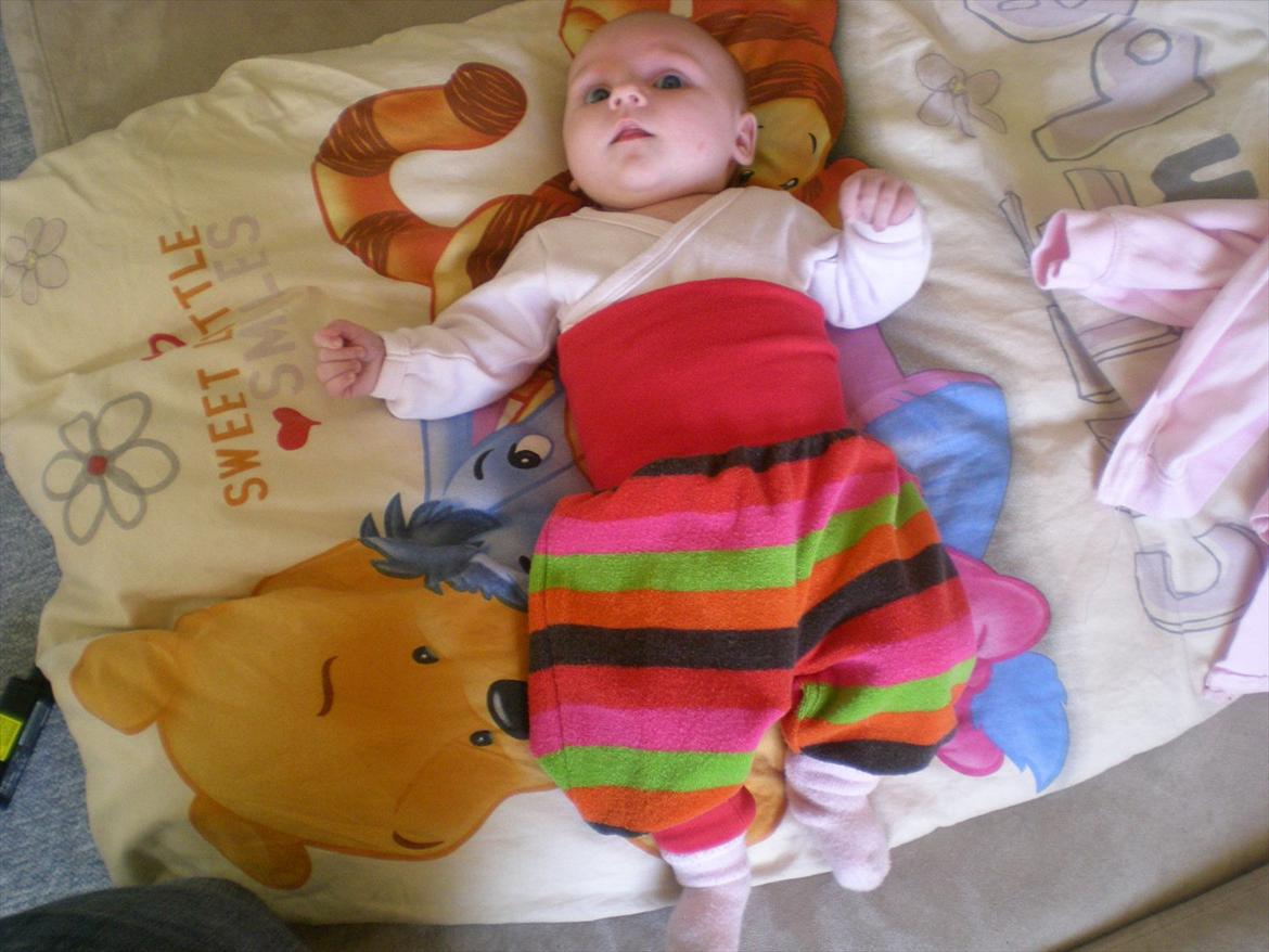 Pige Milla billede 8