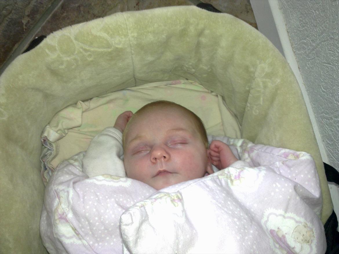 Pige Milla billede 10