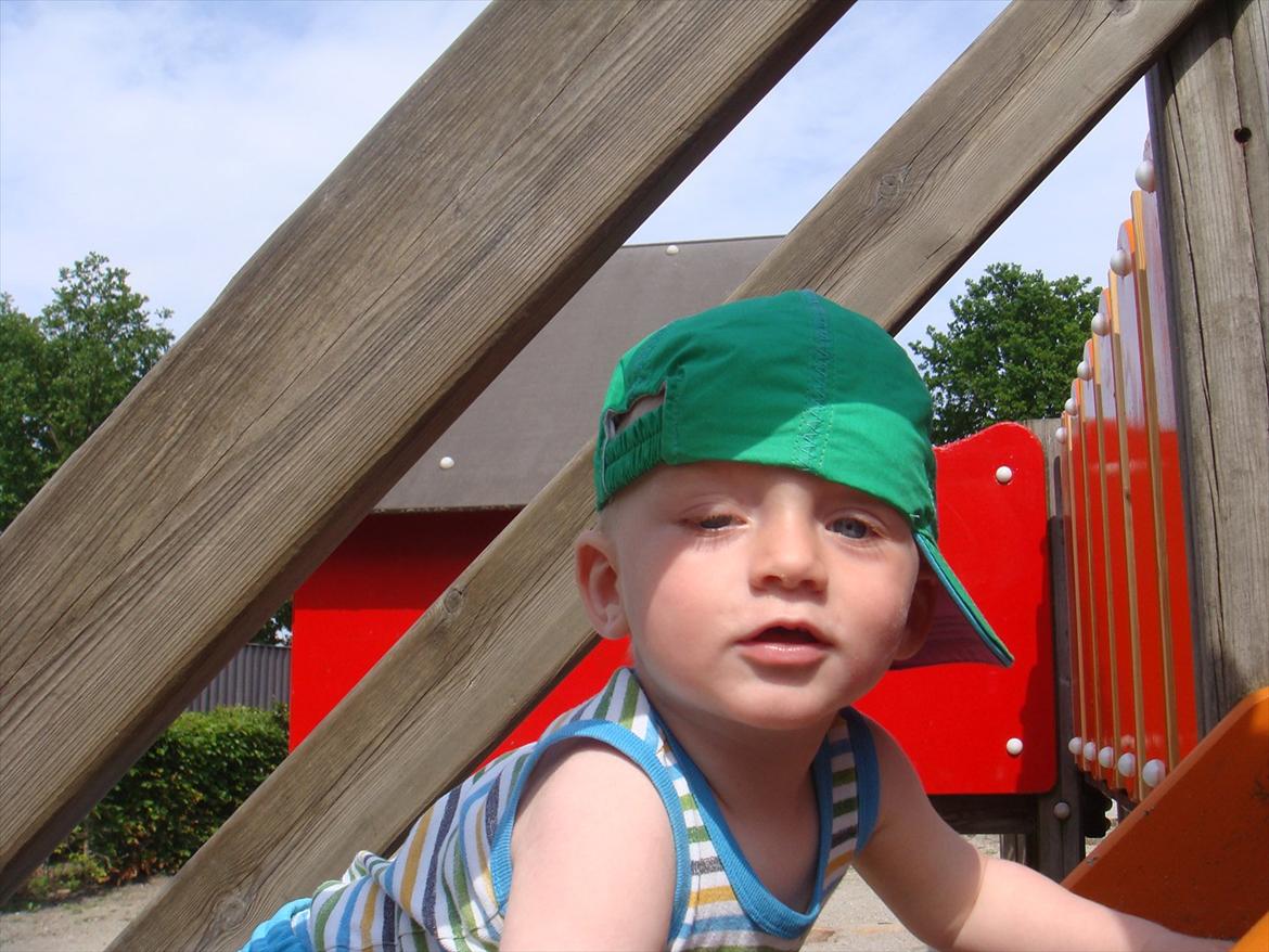Dreng Sammi - Dejlig sommerdag billede 1