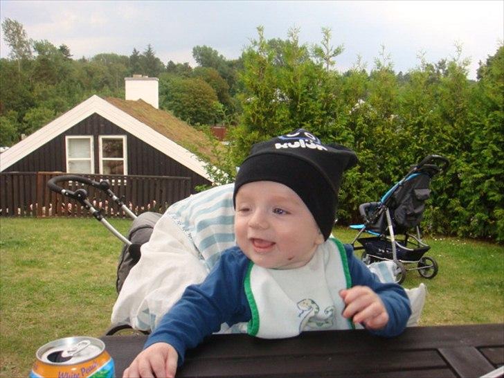 Dreng Sammi - På ferie i Jesperhus billede 6