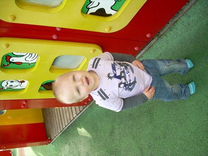 Dreng Oliver - En tur i Legoland :) billede 4