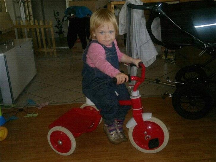 Pige Frederikke Glass Karlson - Se min fine nye og første cykel, er den ikke fin... billede 11