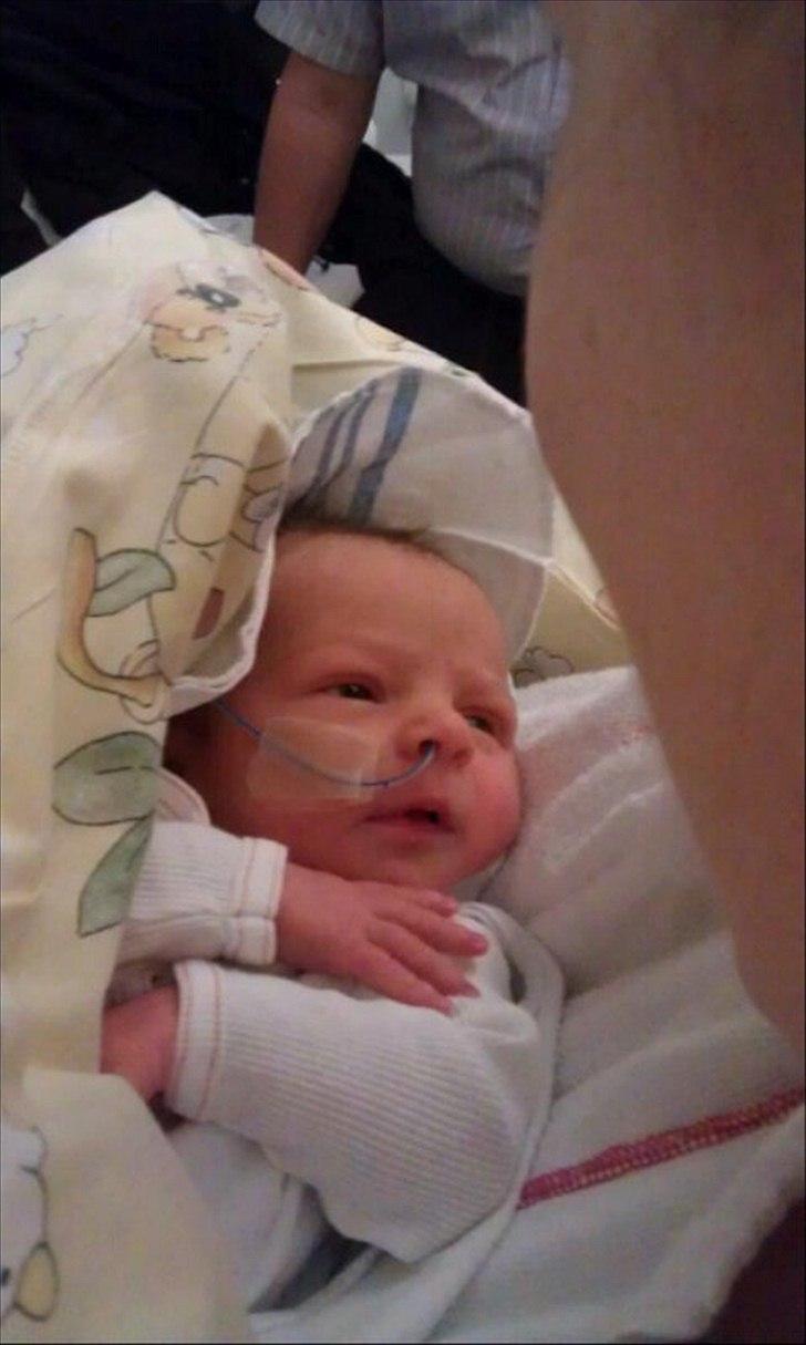 Pige Elina Amalie billede 6