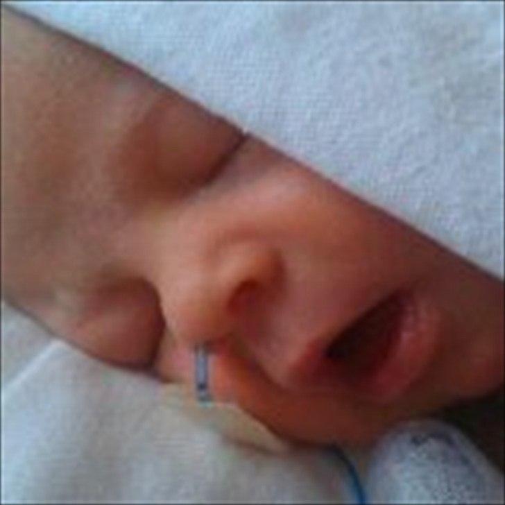 Pige Elina Amalie billede 8