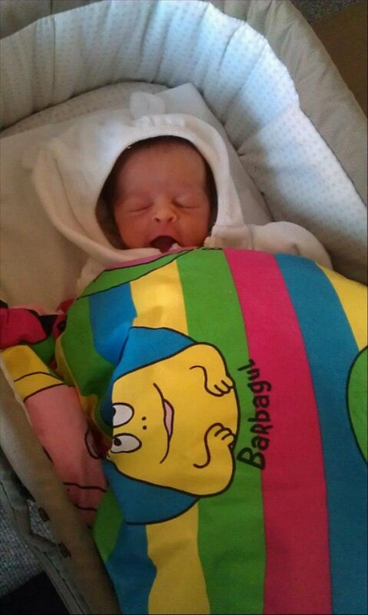 Pige Elina Amalie - Hygger i sin lift :) billede 13