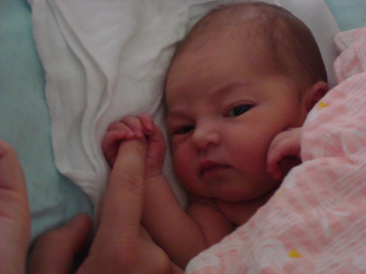 Pige Andrea - Få timer gammel billede 1