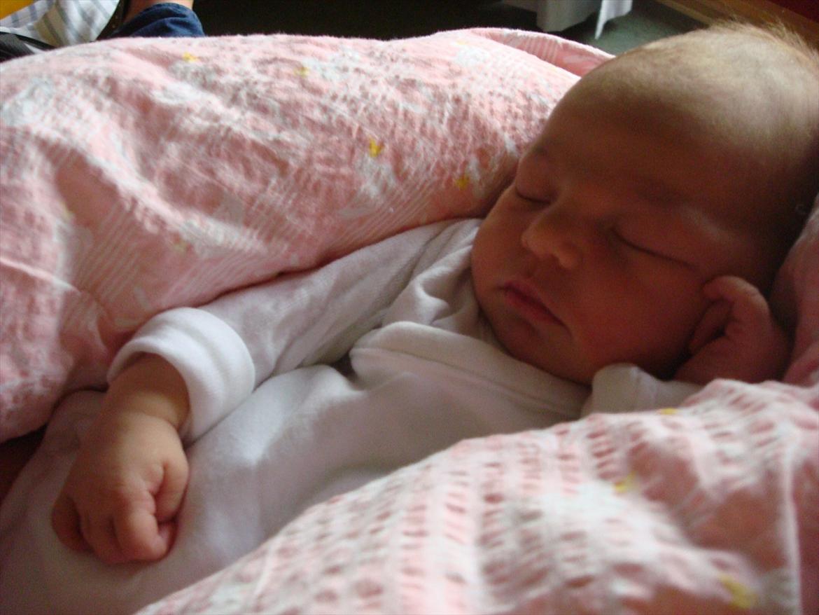 Pige Andrea - 1 dag gammel billede 2