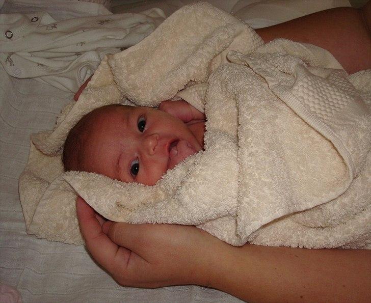 Pige Andrea - 1 uge gammel billede 3