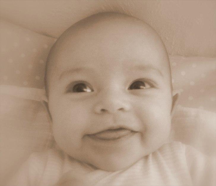 Pige Andrea - 7 uger billede 7