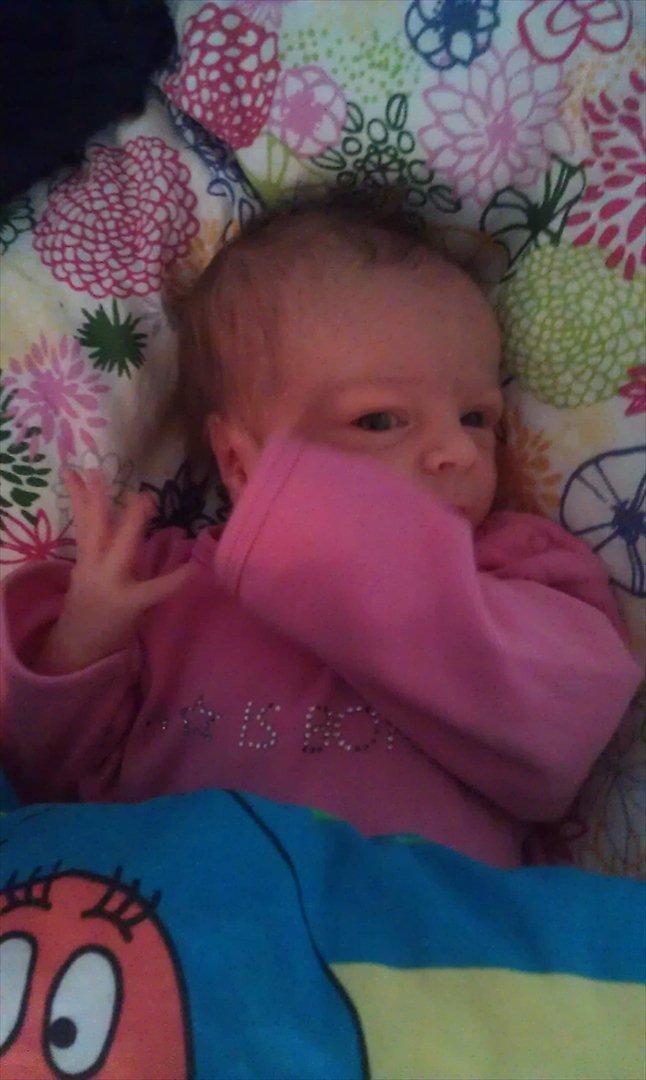 Pige Elina Amalie billede 16