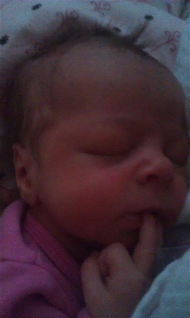 Pige Elina Amalie billede 17