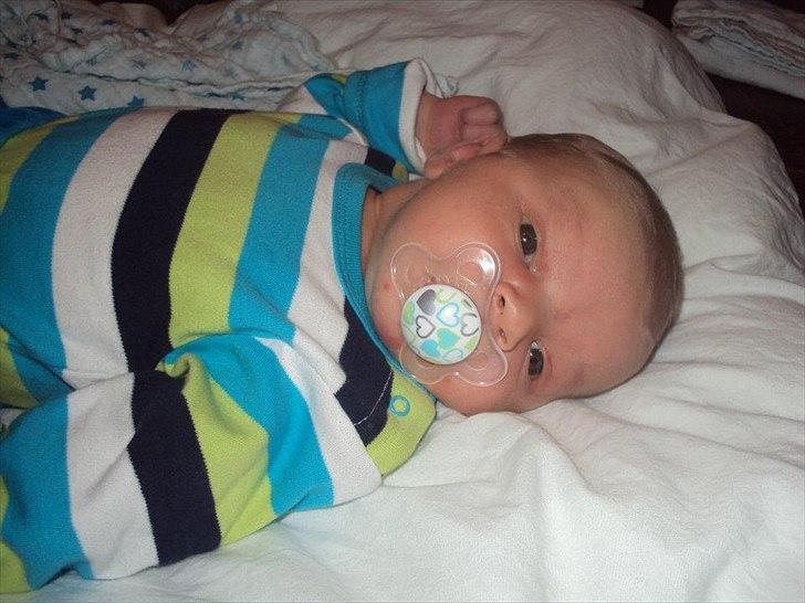 Dreng Tobias billede 19