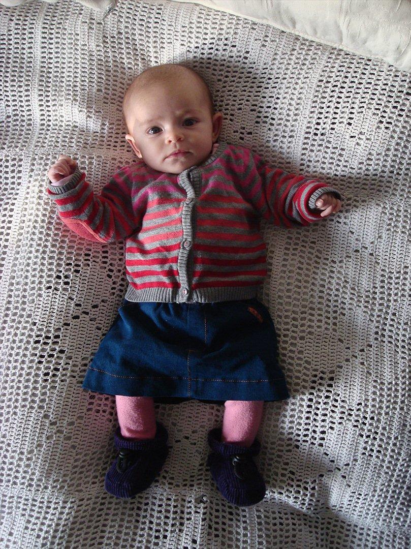 Pige Andrea - 10 uger billede 8