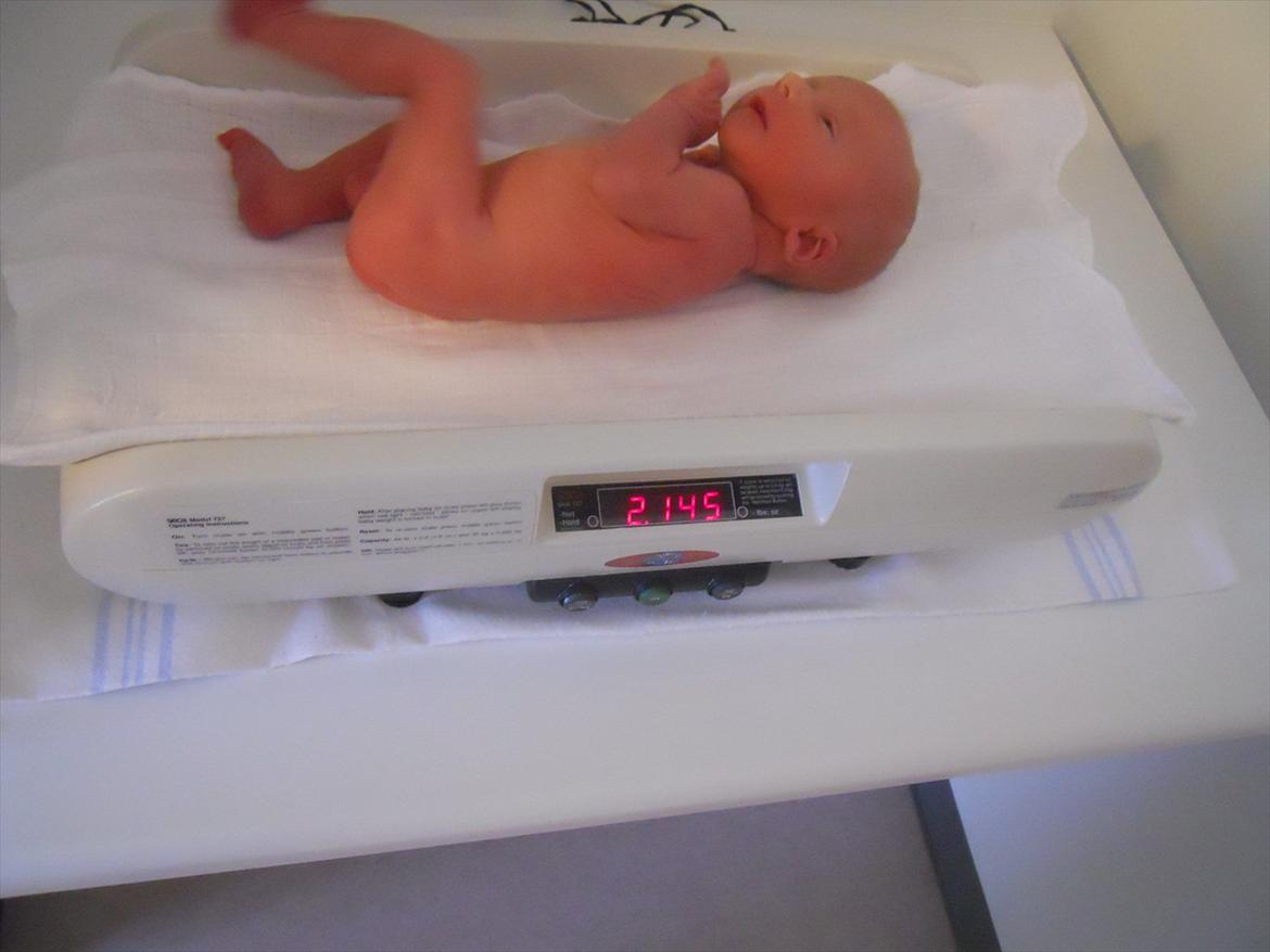 Dreng Marcus billede 5