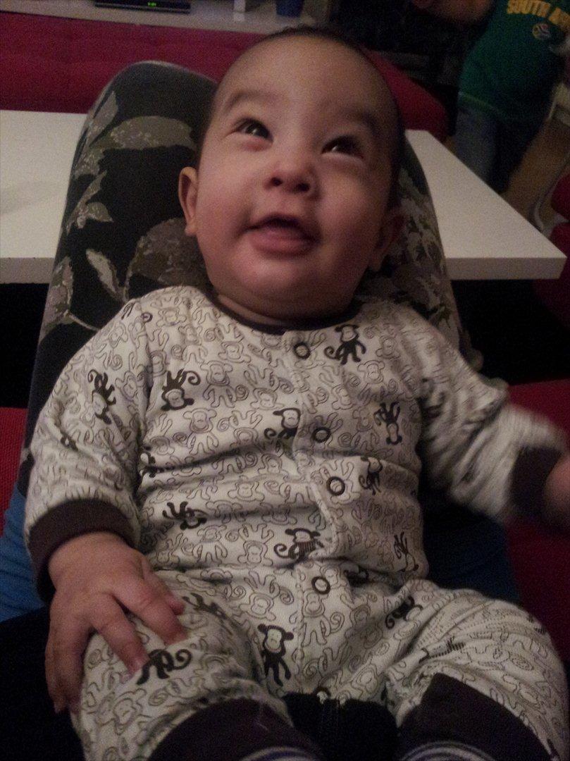 Dreng Jamie billede 12