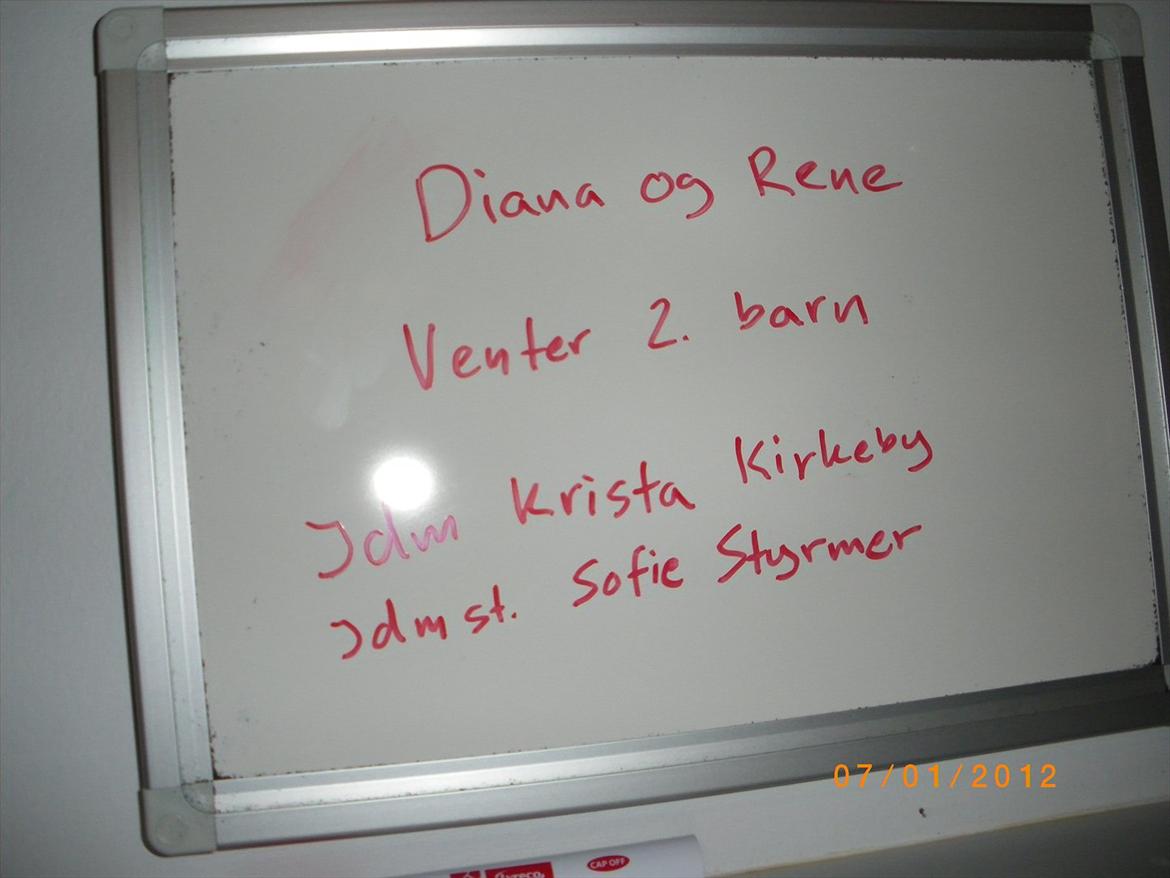 Pige Sascha Hanne Angaard billede 10