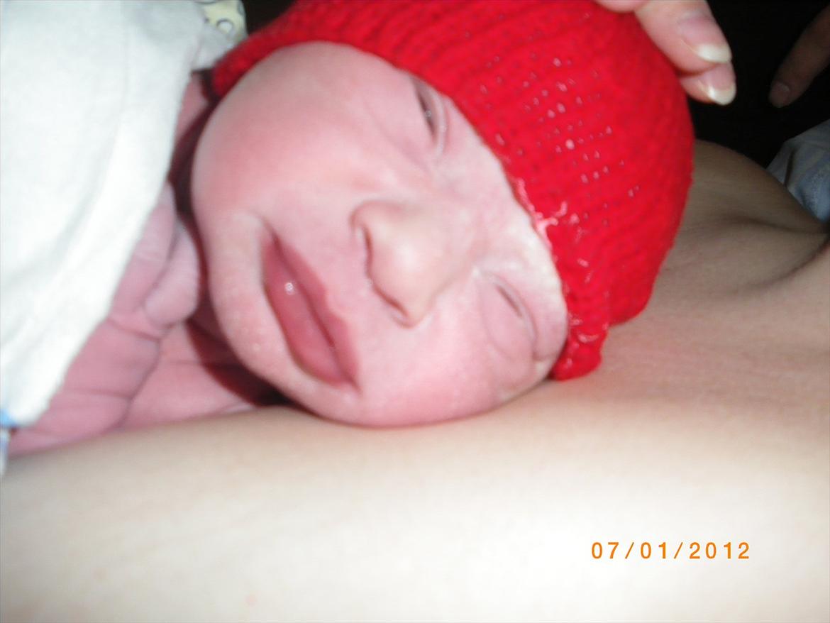 Pige Sascha Hanne Angaard billede 5