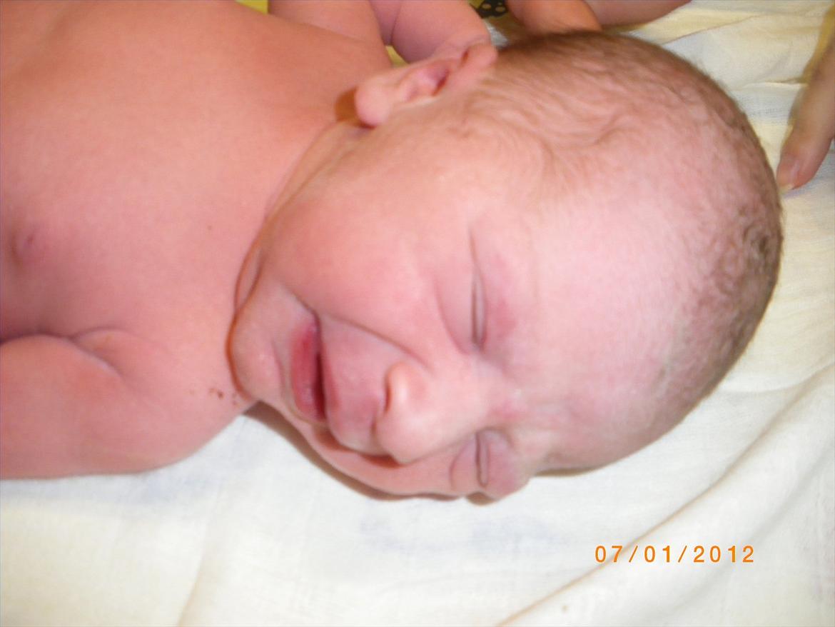 Pige Sascha Hanne Angaard billede 4