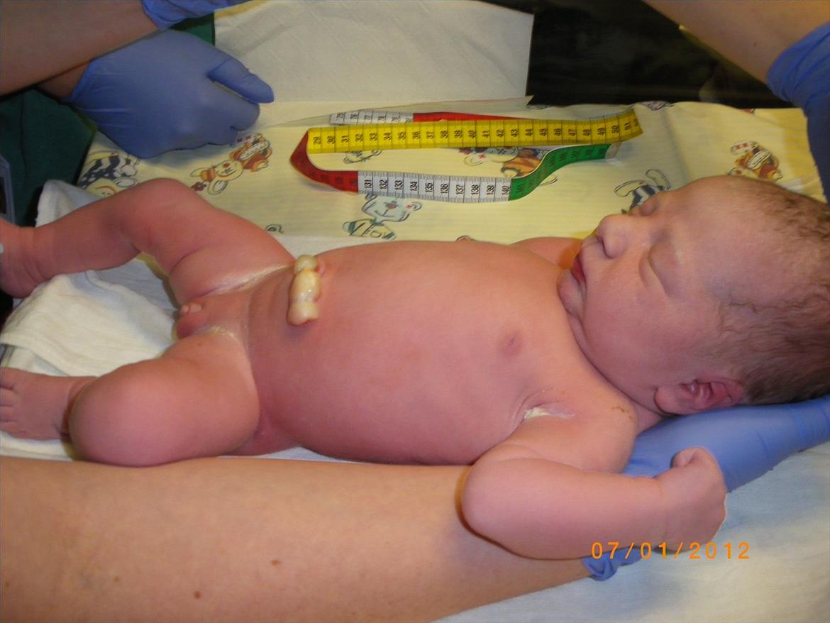 Pige Sascha Hanne Angaard billede 2