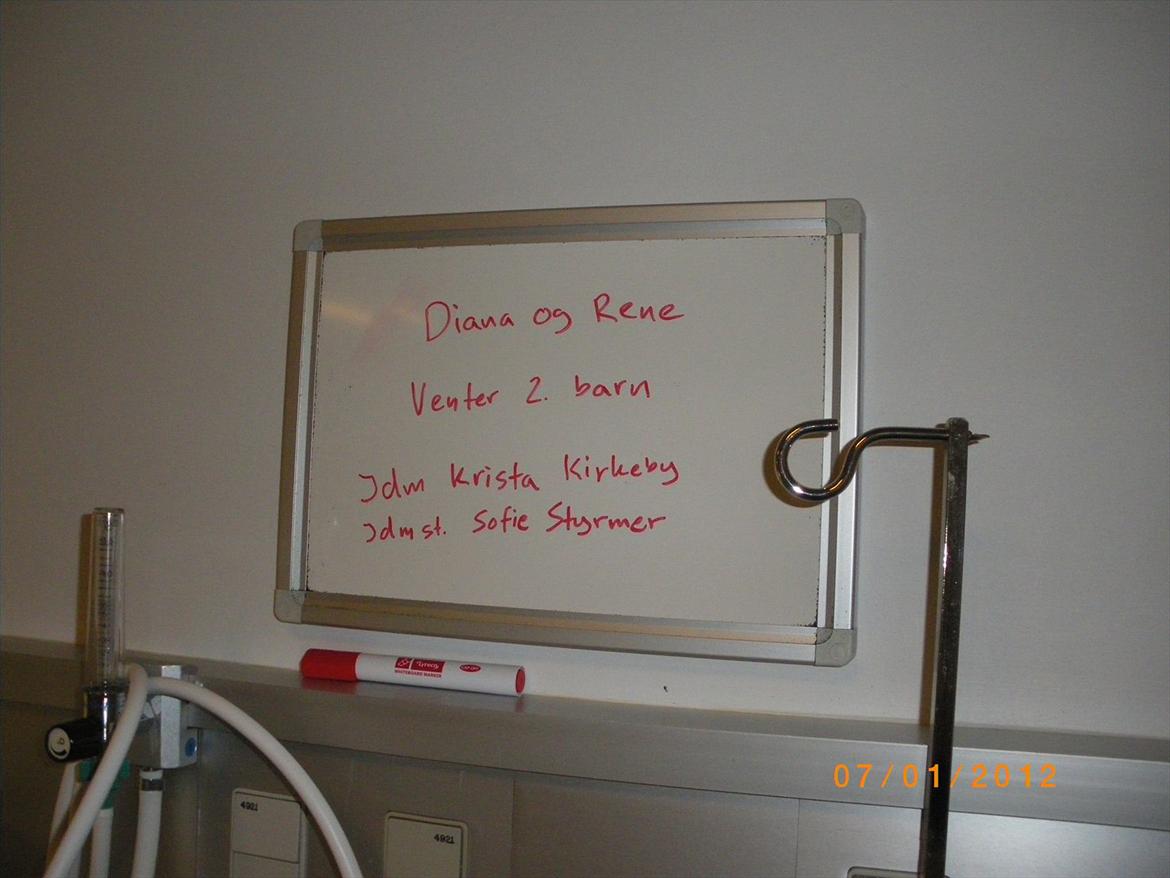 Pige Sascha Hanne Angaard billede 11