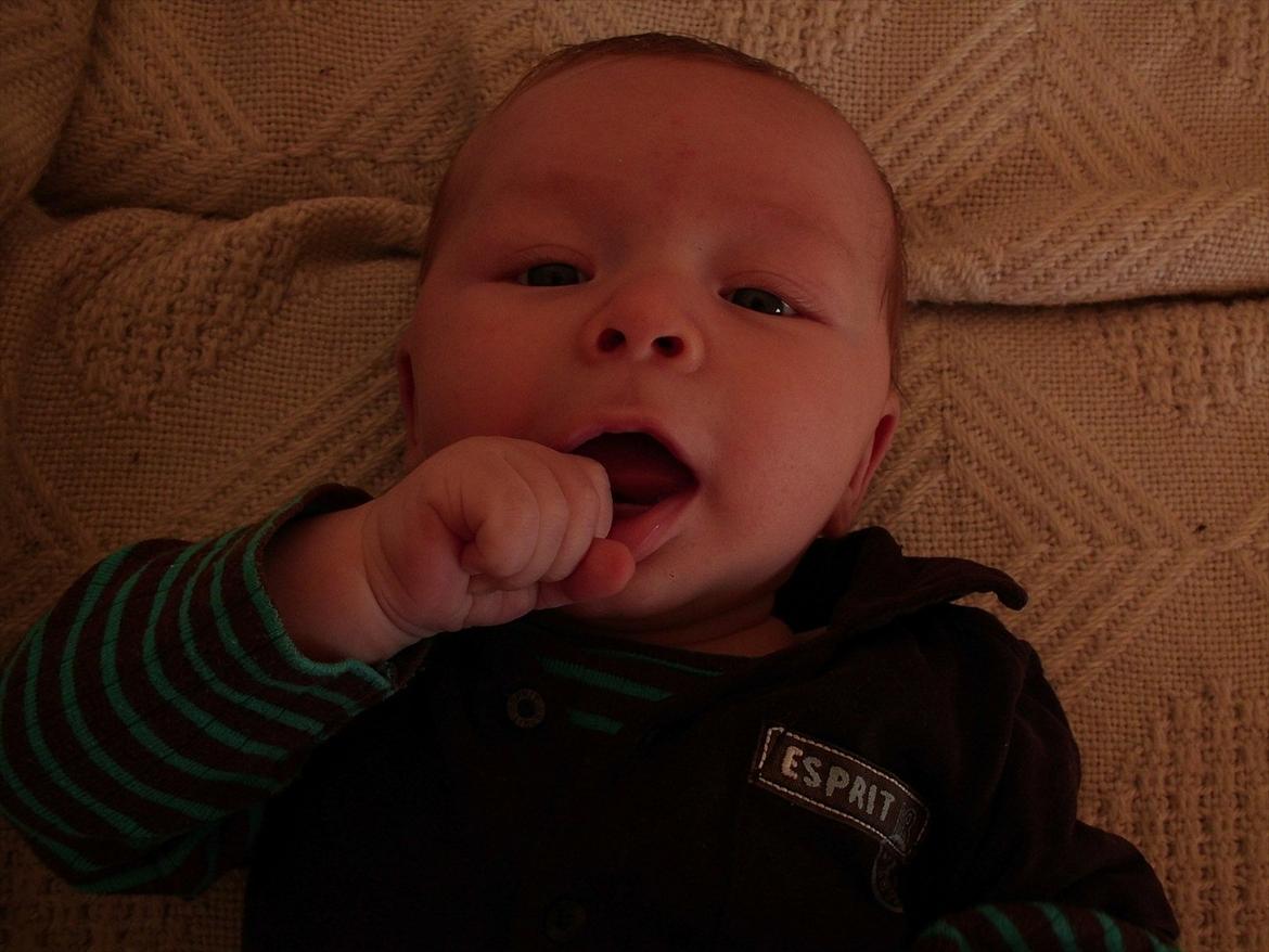Dreng Birk billede 5