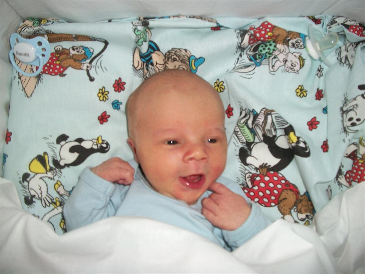 Dreng Oliver Sindahl eriksen - smil<3 billede 7