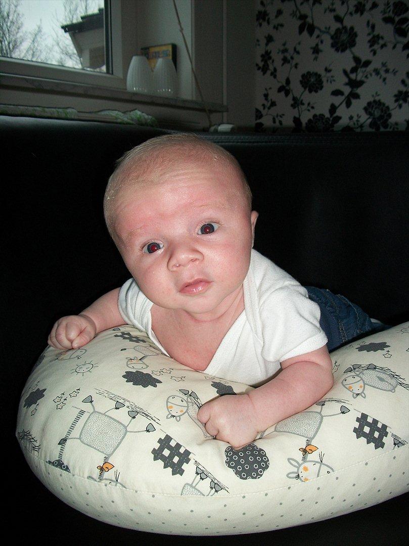 Dreng Oliver Sindahl eriksen - min lille charmetrold billede 12