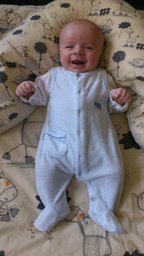 Dreng Oliver Sindahl eriksen - mor elsker dig min skat  
( 7 uger gammel  ) den 16/1 2012 billede 13