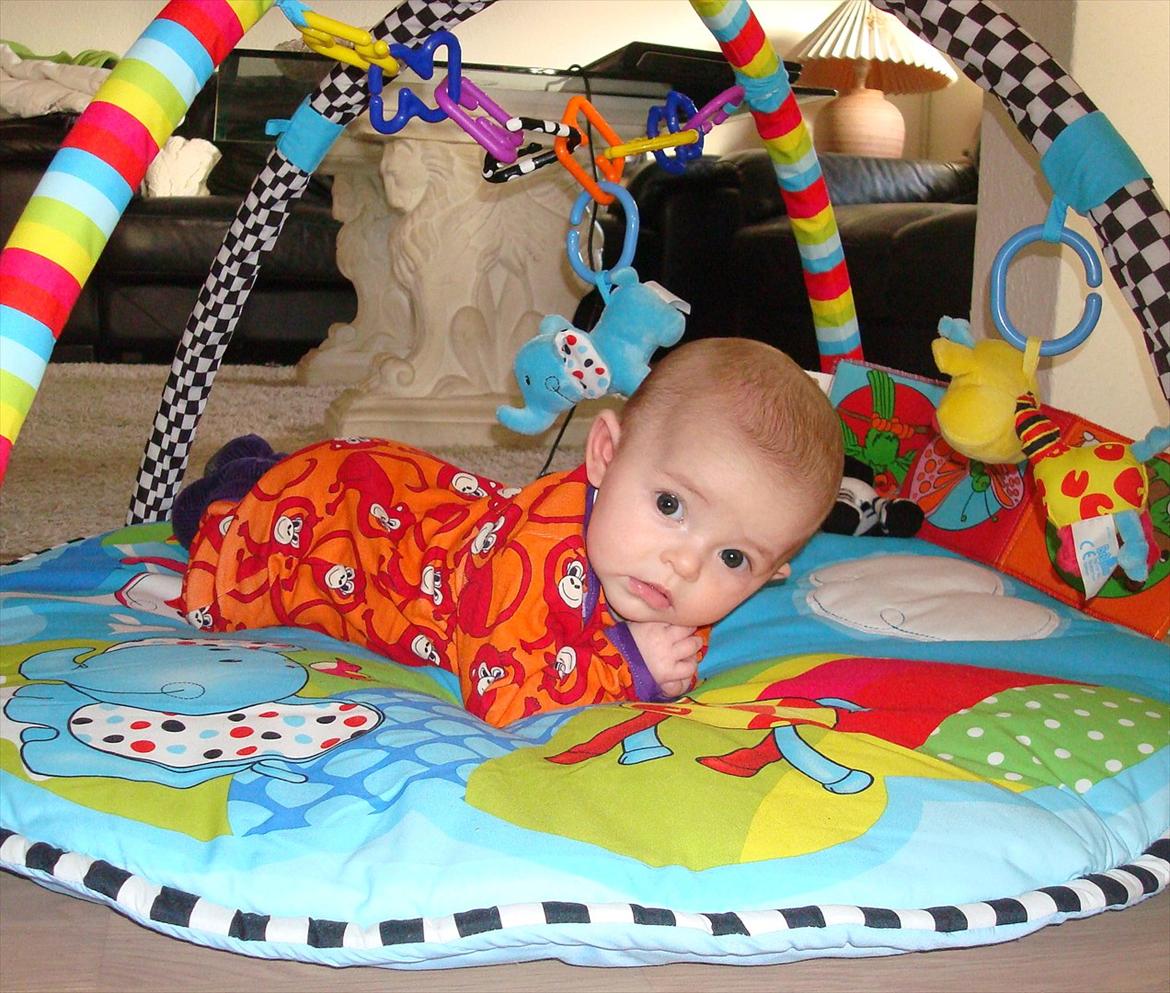 Pige Andrea - 13 uger billede 10