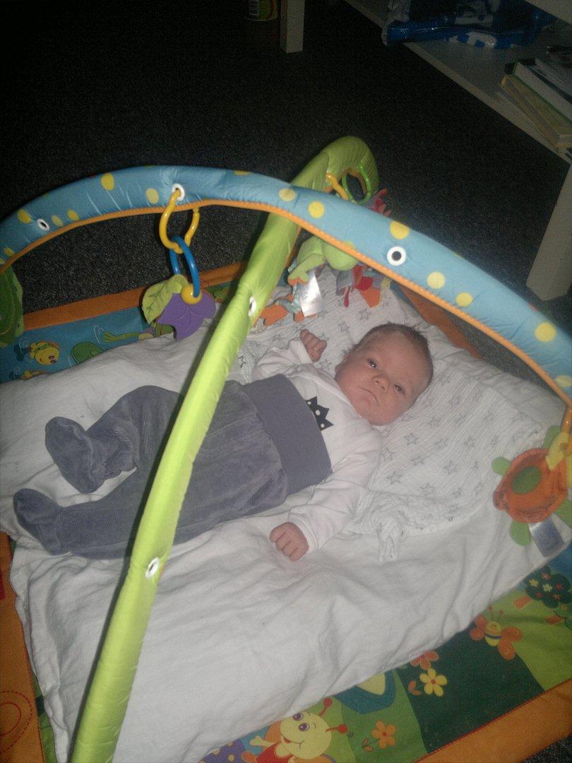 Dreng Lucas Harthin Millek Rasmussen billede 7