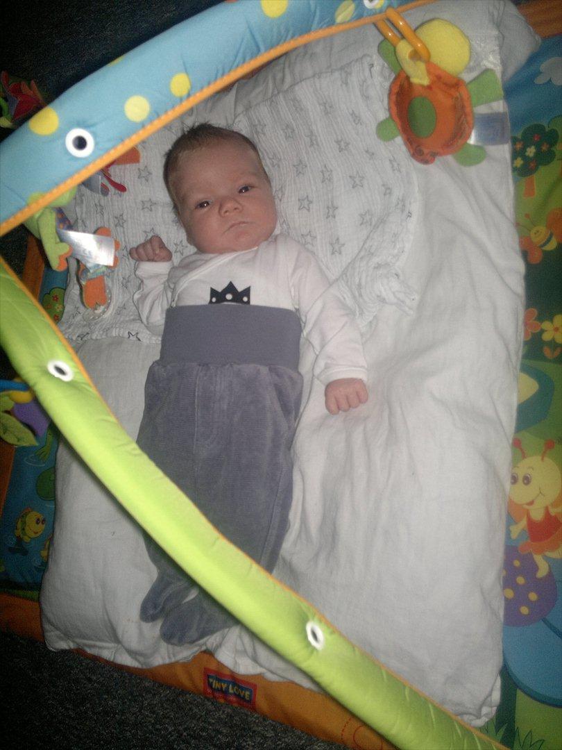 Dreng Lucas Harthin Millek Rasmussen billede 3