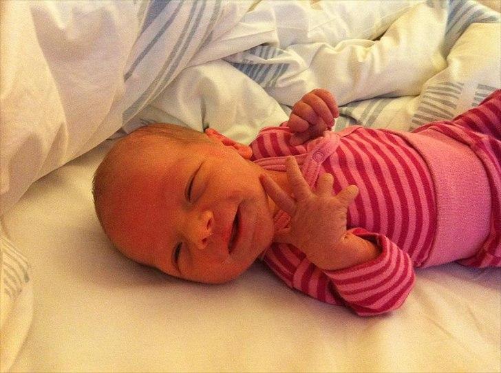 Pige Sophia billede 6